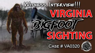 Bigfoot Covered in Vines? Witness Testimony #bigfoot #paranormal #virginia #scary #youtube #shorts