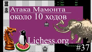 Ловушка - Атака Мамонта, Дебют Мамонта. Шахматы Lichess.org