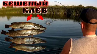 ПОПАЛИ НА ЖОР! ЩУКА СОШЛА С УМА! Рыбалка на спиннинг/Spinning fishing