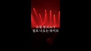 slowdive concert (in Korea)