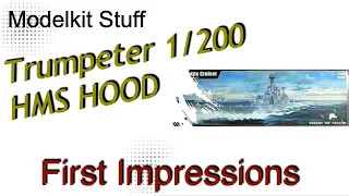 First impressions, Trumpeter, 1/200 HMS Hood