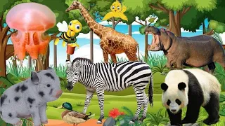 cute animals and animal sounds panda, camel, cow, goat, sheep, bear, giraffe, giraffe, duck, zebra