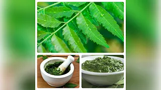 Neem - An Ayurvedic Herb that Heals