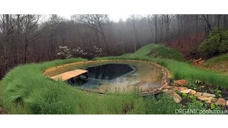 How to make a Natural : Organic Pool in America