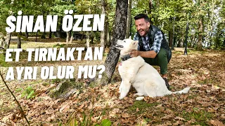 Sinan Özen | Et Tırnaktan Ayrı Olur mu? | Official Video