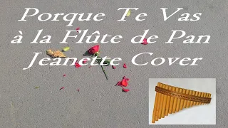 Porque Te Vas à la Flûte de Pan - Jeanette Cover