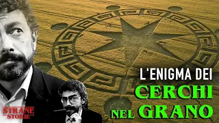 Il mistero dei cerchi nel grano