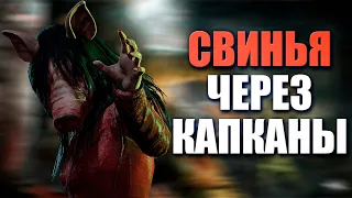 Свинья Уничтожает Капканами Сурвов. Свинья в Dead By Daylight