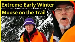 Extreme Early Winter at the Cabin in the Woods of Canada | Moose on the Trail | Cabin Life  EP 111