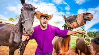 INFELIZMENTE TIVE QUE FAZER ISSO COM MEUS CAVALOS