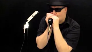 Sweet Home Chicago - Blues Harmonica