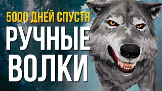 РУЧНЫЕ ВОЛКИ ► THE LONG DARK (НЕЗВАНЫЙ ГОСТЬ) # 18