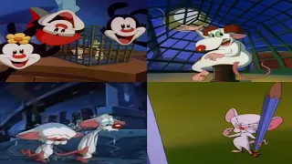 All Pinky and the Brain Intros (1993 - 2022)