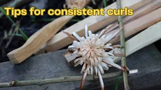 Making Feathersticks - Bushcraft Skills for Forest School Leaders