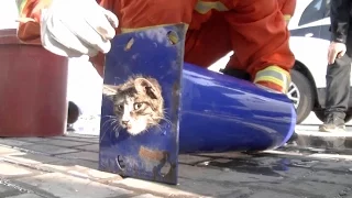 Firefighters Rescue Kitten in northwest China Province