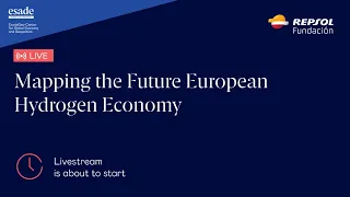 Mapping the Future European Hydrogen Economy