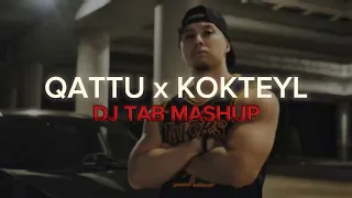 Massa - Qattu x KOKTEYL (DJ_TAB Mashup)