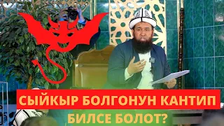 СЫЙКЫР БОЛГОНУН КАНТИП БИЛСЕК БОЛОТ. Устаз Максат Ажы Токтомушев