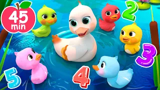 5 Little Ducks(Learn Colors Song) | Newborn Baby Songs & Nursery Rhymes