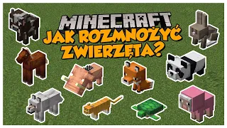 Jak rozmnożyć zwierzęta w Minecraft (wszystkie moby) | Minecraft dla początkujących 004