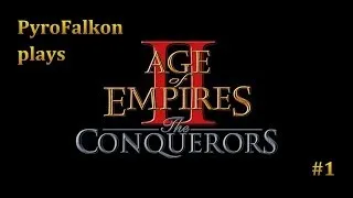 PyroFalkon plays Age of Empires 2 Ep 1 - Remembering the Past