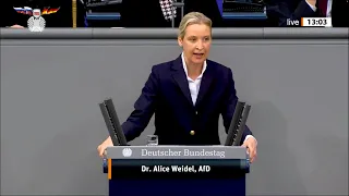 Алис Вайдель: Вы ненавидите Германию и поэтому делаете всё, чтобы её разрушить!