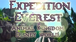 Disney World - Expedition Everest - Animal Kingdom - POV complete ride