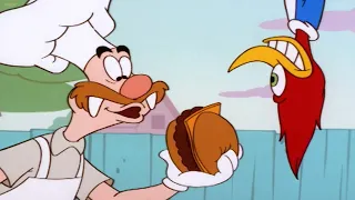 1 Hour of Woody Woodpecker | Ya Gonna Eat That? + More Full Episodes