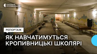 У жодній зі шкіл Кропивницького не планують дистанційне навчання