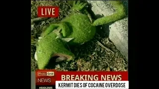 Kermit The Frog Dies Of A Cocaine Overdose... (Shit Post)