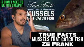 True Facts: Mussels That Catch Fish (ze frank) Reaction