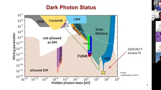 New opportunities for dark matter detection: dark photon and beyond - Volodymyr Takhistov