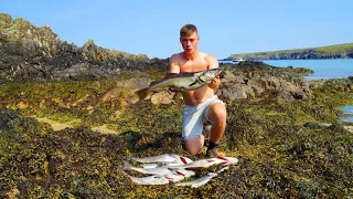 Spearfishing MASSIVE Pollock & Coalfish at dawn in a remote coastal wilderness