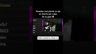 Youtuber casi pierde un ojo en directo por culpa de su gato 😰