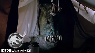 El T. Rex ataca el campamento en 4K HDR | Mundo Jurásico