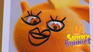 Sunny Bunnies - PICTURE DAY | Cartoons For Children | Funny Cartoons For Children