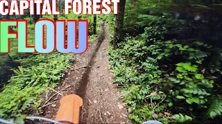 Capital Forest Dirt Bike Flow Trails