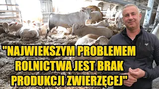 Mają 430 opasów, nie robią kiszonek, a byki w 9 miesięcy osiągają 800kg! Jak to robią?