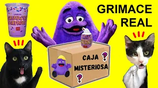 Abro la caja misteriosa de Grimace Shake y como hacer la bebida maldita con gatos Luna y Estrella