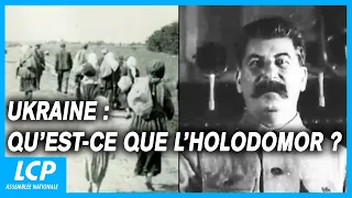 Ukraine : qu'est-ce que l'Holodomor ? - LCP Assemblée nationale