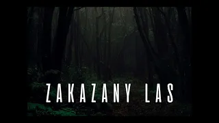 Zakazany Las - Creepypasta, Opowiadanie grozy