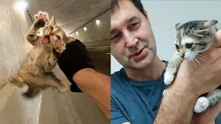 История кошечки по имени Тиффани. Спасение котенка из туннеля.