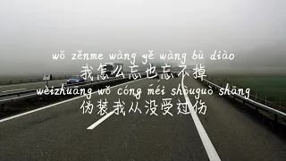 【都怪我-胡66】DOU GUAI WO-HU66 /TIKTOK,抖音,틱톡/Pinyin Lyrics, 拼音歌词, 병음가사/No AD, 无广告, 광고없음