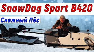 Как управляется мотобуксировщик SnowDog Sport B420