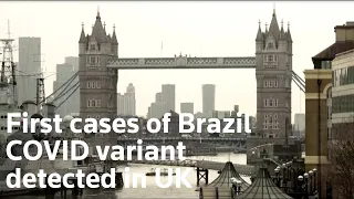 First cases of Brazil covid variant detected in UK