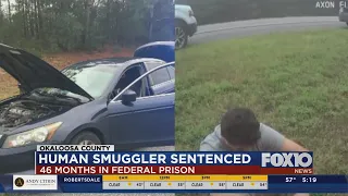 Human smuggling sentence