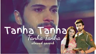 Tanha tanha mat socha kar 💖 full sad song 💔 Hindi love songs💞Alka Yagnik || Sanu kumar||udit narayan