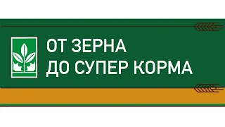 Эволюция кормления "От зерна до супер корма" / Богдановичский комбикормовый завод