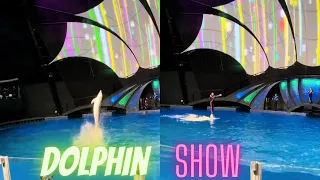 Dolphin Show @Georgia Aquarium @Amna_Parvaiz  #DolphinShow #georgiaaquarium