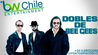 BW Presenta - Dobles de Bee Gees - Promocional